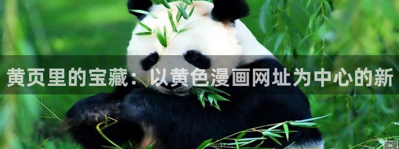 大公阁下漫画(下拉式)奇漫屋：黄页里的宝藏：以黄色漫画网址为中心的新