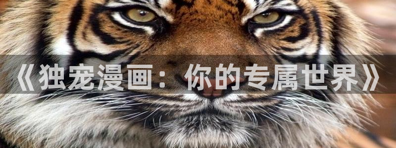 奇漫屋免费漫画网：《独宠漫画：你的专属世界》